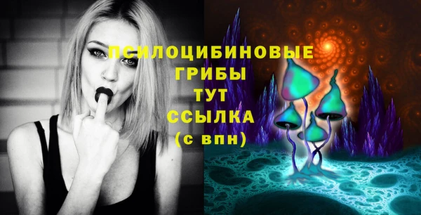 твердый Алексеевка