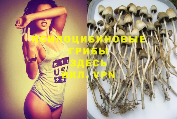 бошки Абдулино